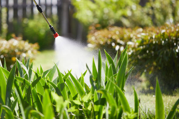 24/7 Emergency Cockroach Control experts in Jena, LA