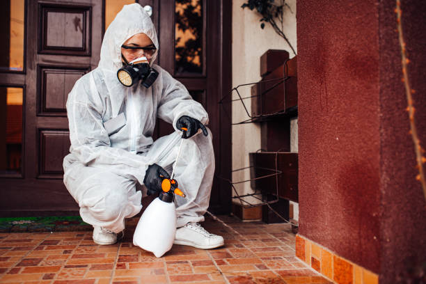 Reliable Cockroach Control contractor in Jena, LA by Nex Pest Control
